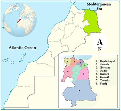 Ethnobotanical survey and scientific validation of liver-healing plants in northeastern Morocco